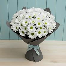 Букет цветов из:  Хризантемы #REPLACE_PRED# Качалино