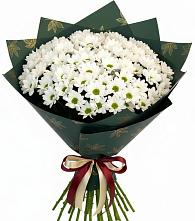 Букет цветов из:  Хризантемы #REPLACE_PRED# Качалино