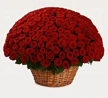 Премиум букет из: Розы в Качалино