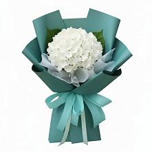 Букет цветов из:  Гортензия в Качалино